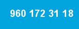 960 172 31 18